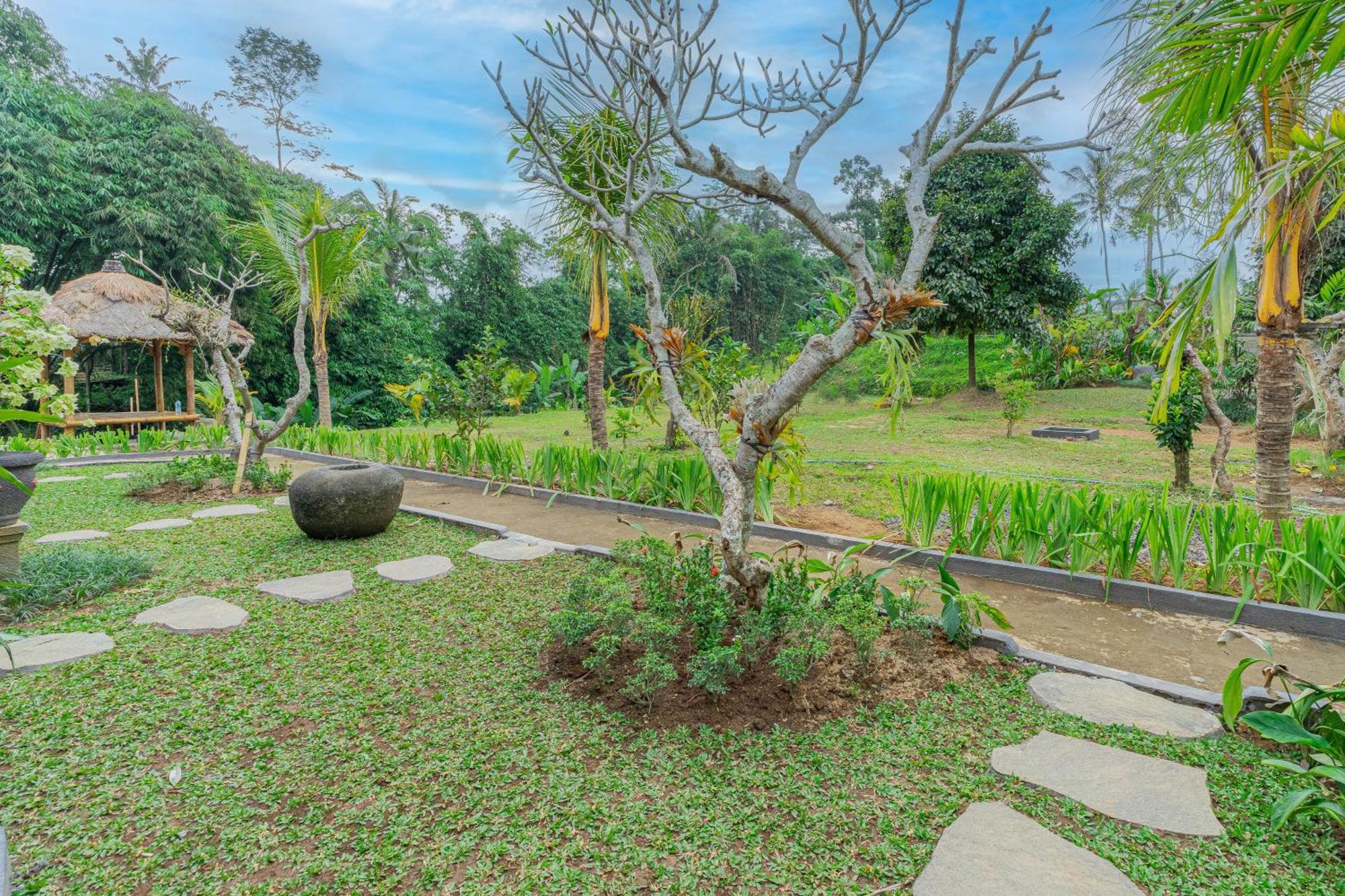 Puri Kurnia Ayu Hotel Ubud  Ngoại thất bức ảnh